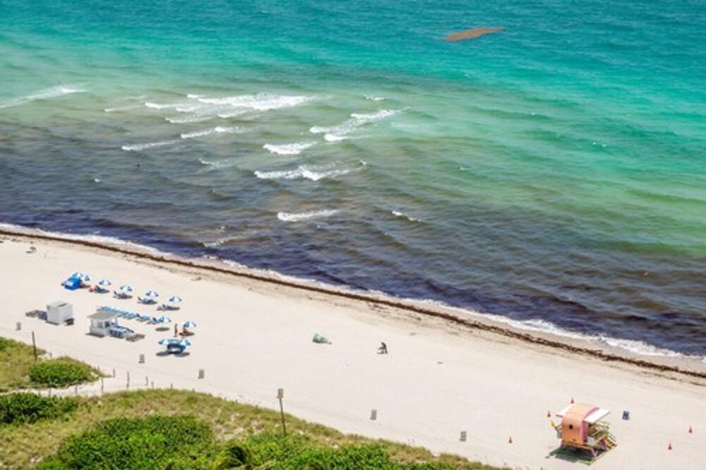 "Ne kupajte se i ne jedite školjke ovde": Bakterija koja jede meso odnosi sve više života, ima dosta preminulih!