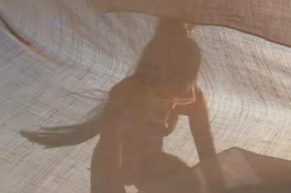 NISKE STRASTI NA PLAŽI! Snimao je dok se lagano SKIDA, a onda su im sve kočnice POPUSTILE