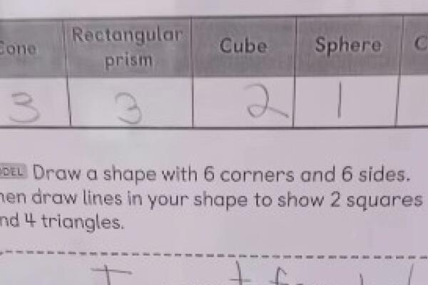 CELA SRBIJA PRIČA O DEVOJČICI ZBOG ZADATKA IZ MATEMATIKE: Mama nije znala rešenje, a njen odgovor NASMEJAO MILIONE!