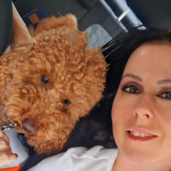 Mirjana je pronašla izgubljen novčanik i unutra brdo para: Kad je kontaktirala vlasnika, usledila je filmska priča