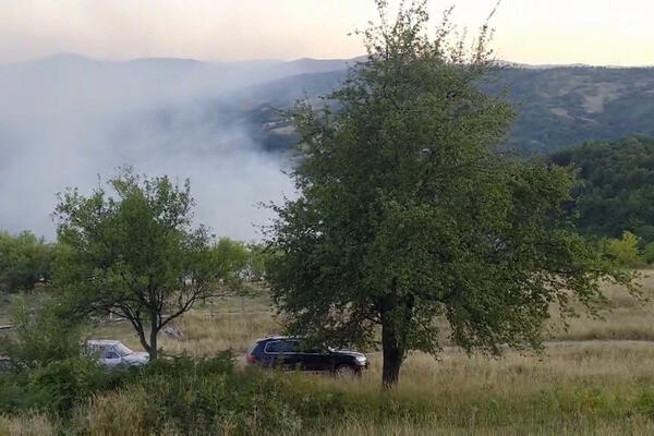 Požari u Crnoj Gori odneli prvu žrtvu! Poginuo vojnik dok je vozio cisternu, oglasilo se Ministarstvo odbrane