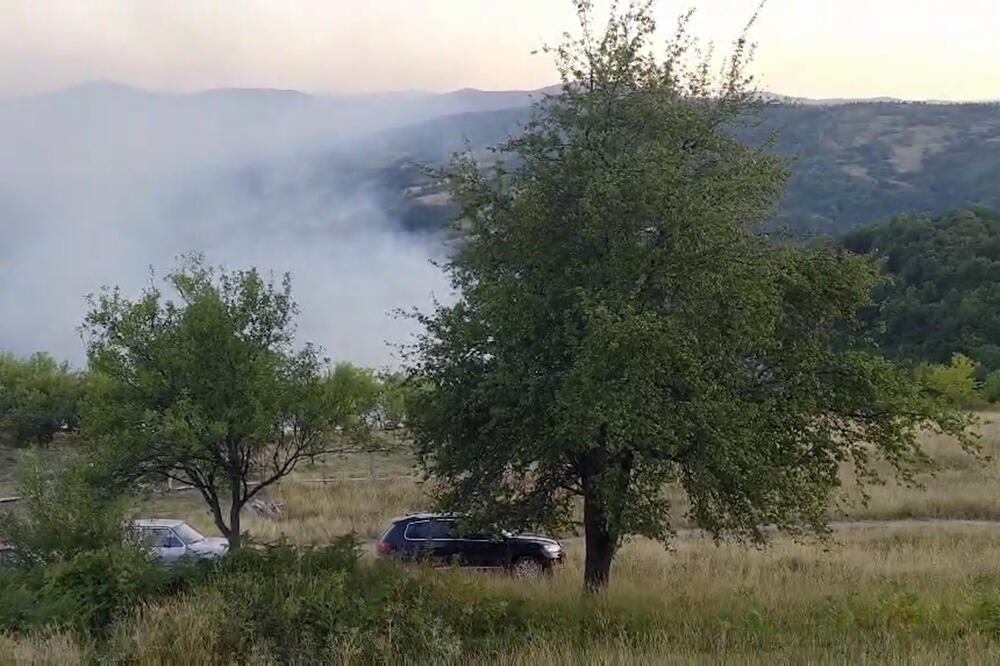 Borba sa požarima u Kladovu i dalje traje: Vatru gase i dva helikoptera, uvedena vanredna situacija!