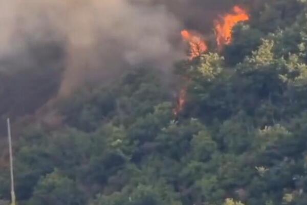 Vatra i dalje kulja, Crna Gora obavijena dimom: Ovo su satelitski snimci užarenih područja, zagađenje se širi! FOTO