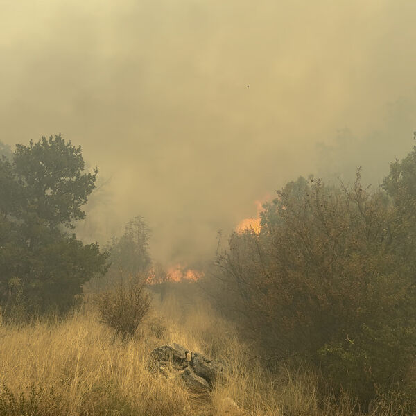 Ovde su trenutno najkritičniji požari u Crnoj Gori: Vatra preti kućama, stihija okovala čitavu zemlju!