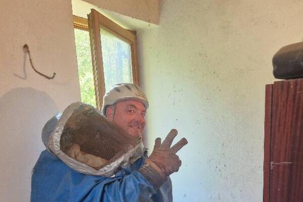 Vladica probio rupu na plafonu, ono što je ispalo ni njega nije ostavilo ravnodušnim: Poznati zmijolovac u akciji