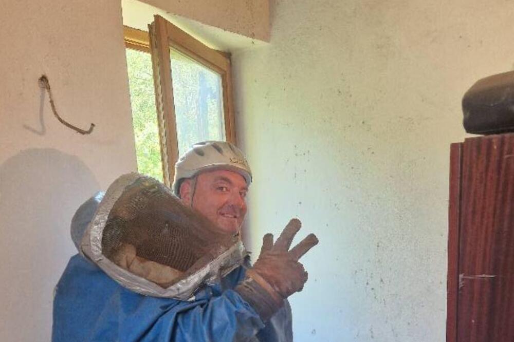 Vladica probio rupu na plafonu, ono što je ispalo ni njega nije ostavilo ravnodušnim: Poznati zmijolovac u akciji