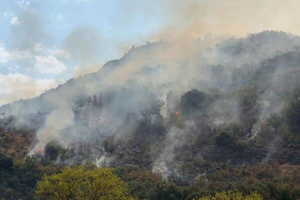 U ova 3 grada u Crnoj Gori bukte požari: "Aktivirali smo sporazum, stigla pomoć iz Srbije"