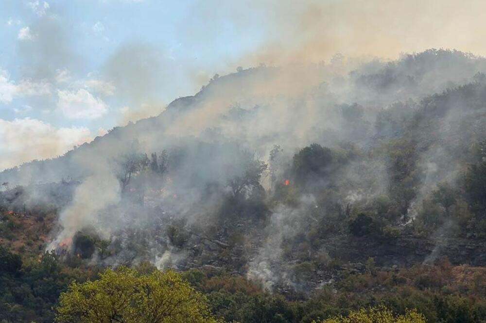 Uhapšen muškarac iz Pljevalja zbog podmetanja požara! Palio nisko rastinje, pa izazvao ogromnu vatru po imanjima