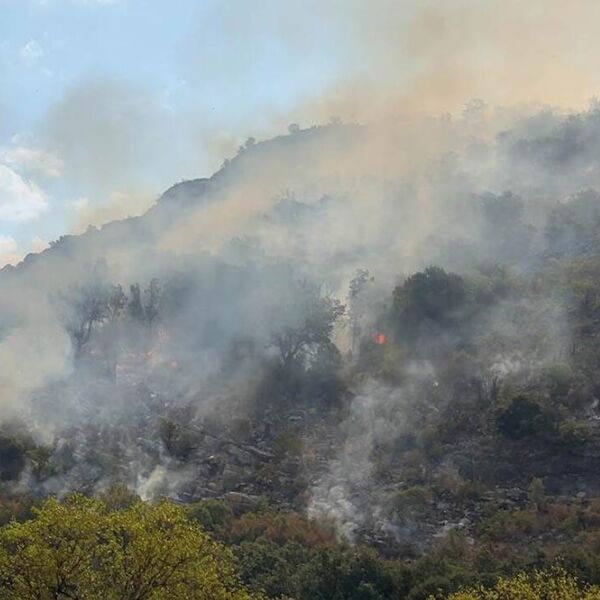 Požari u Crnoj Gori bukte već šesti dan: Najkritičnije u ovim delovima!