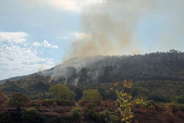 Požari u Crnoj Gori još uvek bukte, situacija kritična: Najalarmantnije je u ovom gradu!
