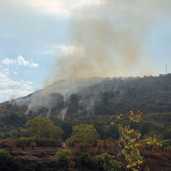 Požari u Crnoj Gori još uvek bukte, situacija kritična: Najalarmantnije je u ovom gradu!