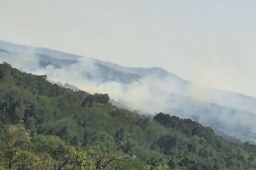 Gori šuma u Rači: Požar zahvatio veliku površinu, dim prekrio ceo horizont! (FOTO)