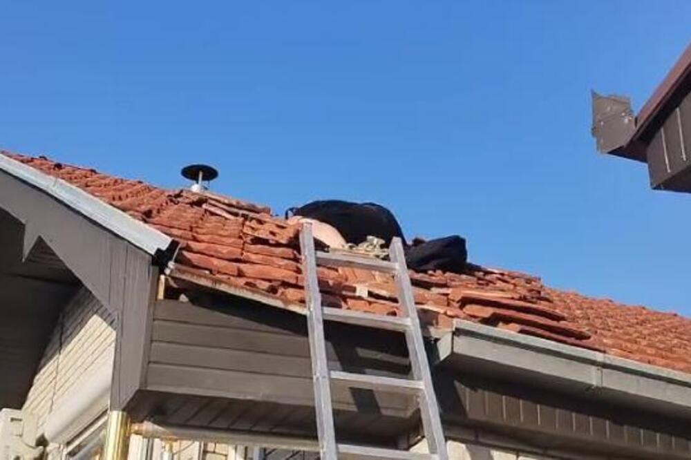 Ukućani su osetili grozan smrad, a onda zatekli scenu iz horor filma: Kuća u Srbiji imala je LEGLO, a da nisu znali