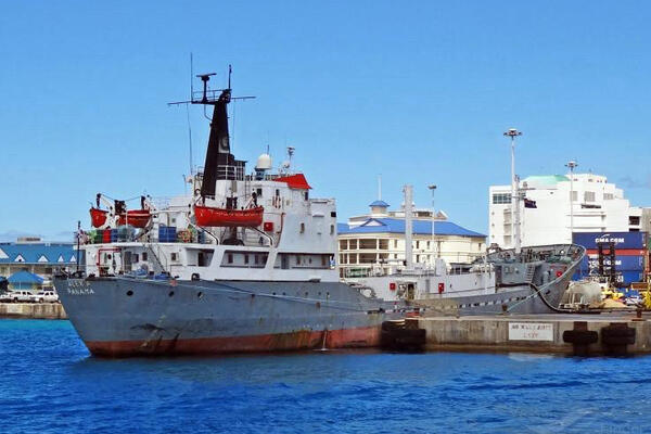 U međunarodnoj akciji nađeno 5 tona kokaina: Rekordna zaplena povezana sa ubistvom Srba i Makedonca u Boliviji!