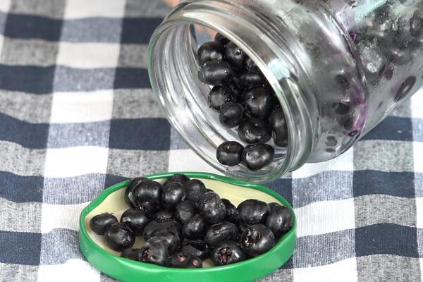 Skenderovići kod Novog Pazara uzgajaju retku vrstu bobičastog voća: Ove bobice su jako lekovite i vrlo se isplate!