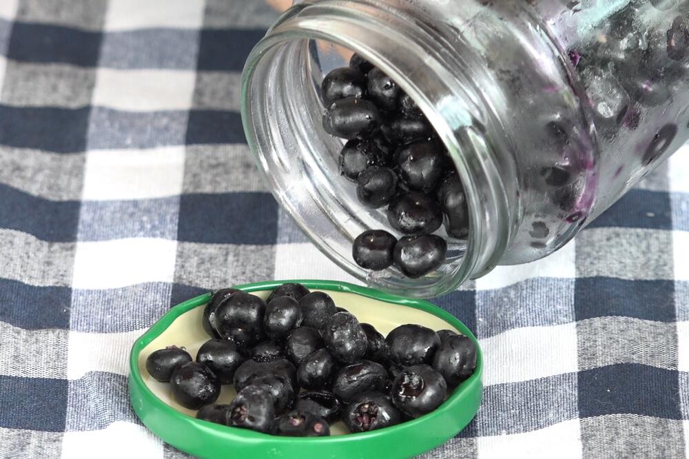 Skenderovići kod Novog Pazara uzgajaju retku vrstu bobičastog voća: Ove bobice su jako lekovite i vrlo se isplate!