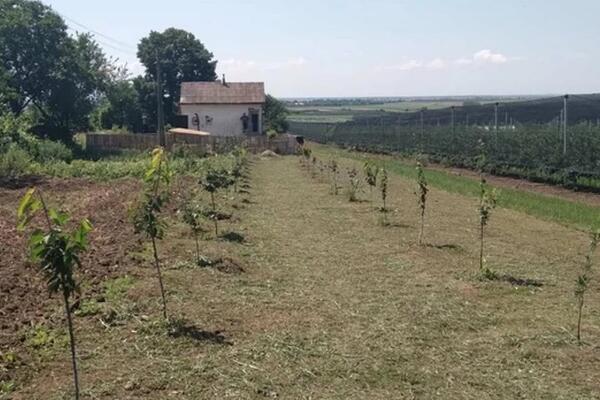 Sanja prodaje vikendicu i plac za 25.000 evra! Nalazi se na obali reke: Ko ima porodicu, ovo vam je raj na zemlji!