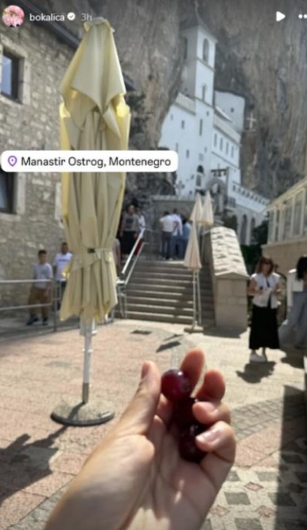 Bojana Ristivojević