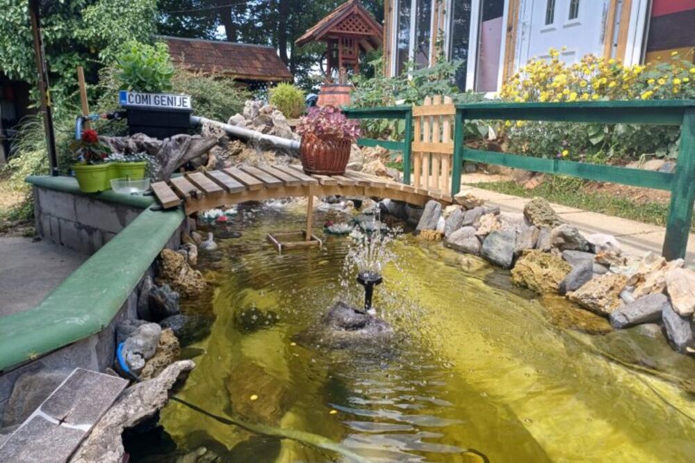 Ovo je i zvanično najlepše dvorište na teritoriji Užica: Ana osvojila laskovo priznanje, nestvarno je lepo! (FOTO)