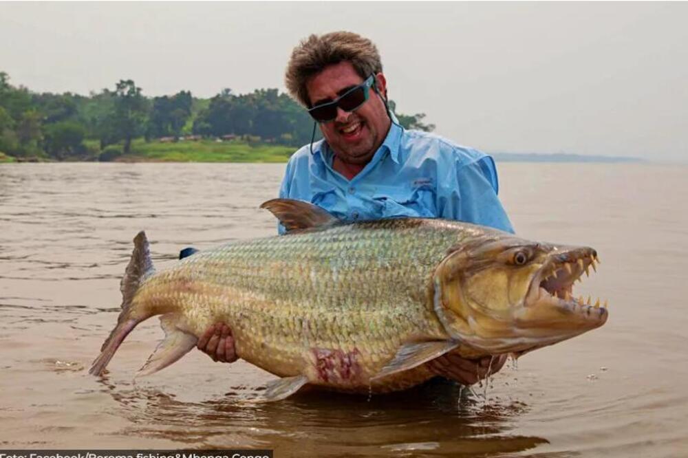 Štap je na pecanju počeo da mu se savija, kad ga je izvadio, sledio se u mestu: Ova neman napada krokodile