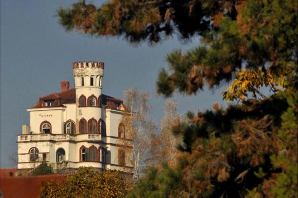 Ugostitelj Đoka je najlepšu vilu u Srbiji ostavio sluškinji, ali je nije mnogo usrećio! Smučiće vam se život, horor