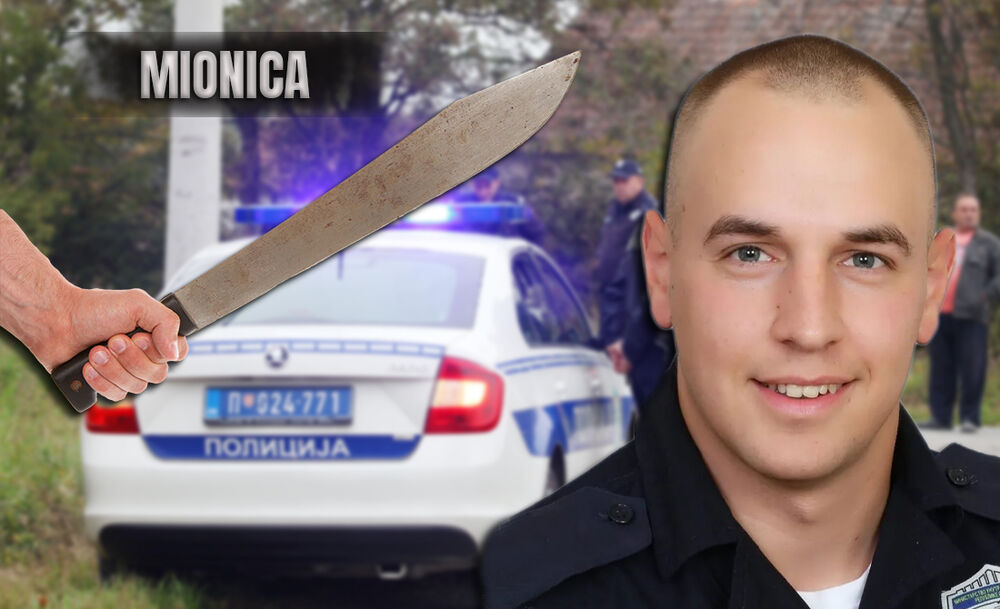 Milan Đokić, Mionica