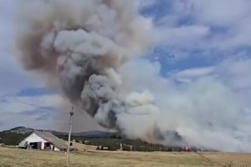 Buknuo požar na jednoj od najlepših srpskih planina! Strašni prizori sa lica mesta, vatra zahvatila i vikendice?!