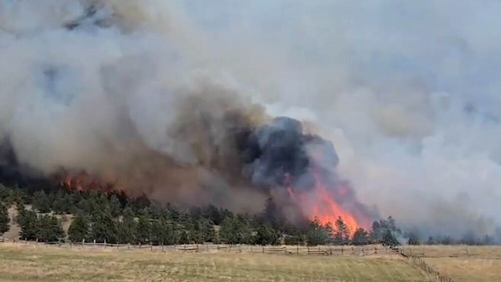 Vatrena stihija - gori rastinje