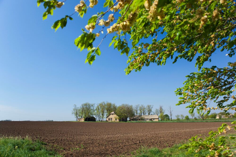 Vojvodina i zemljište