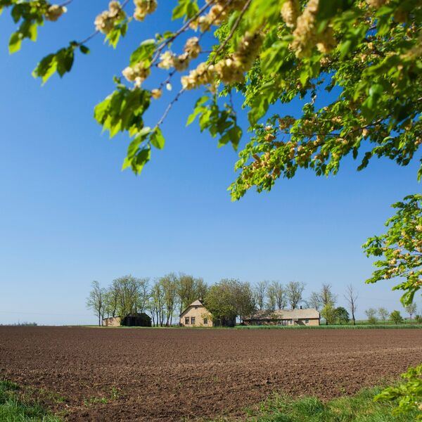 U ovom gradu u Srbiji hektar njive otišao za neverovatnu cenu: U ovom delu prodato 100 parcela
