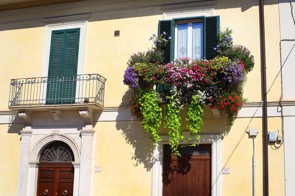 Ovaj trik spašava vaše cveće od mraza! Ne košta ni dinara, a biljke će vam večno zahvaljivati
