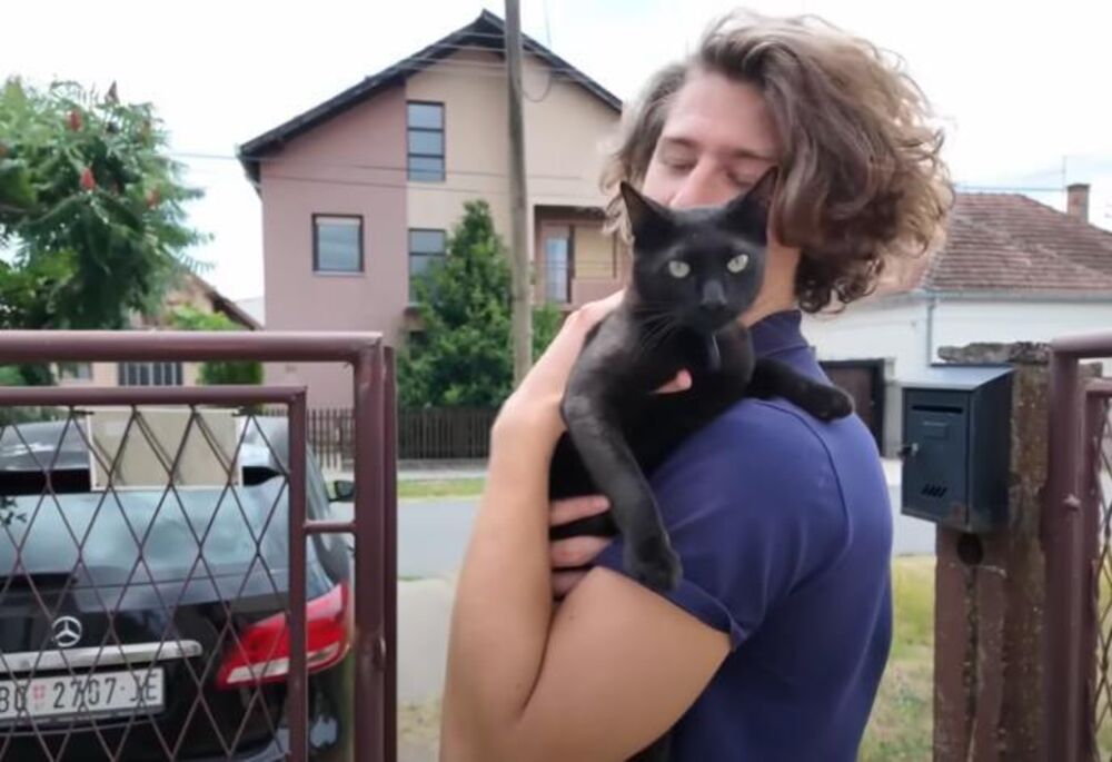 Norvežanin, Stara Pazova