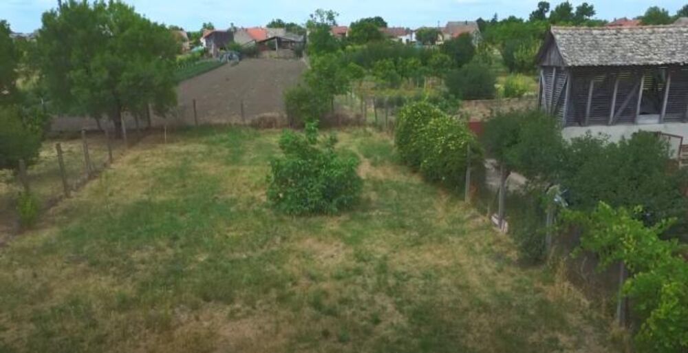 Norvežanin, Stara Pazova