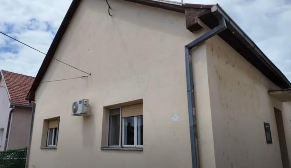 Norvežanin, Stara Pazova