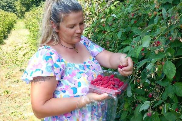 O IMANJU Dragice iz Jasenice bruji cela Srbija! Na dedovini napravila raj - Markovići ponosni što čuva STOKU i...