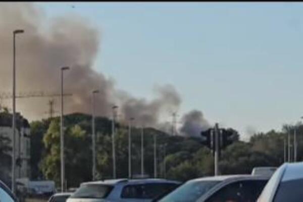 Veliki požar na Bežanijskoj kosi: Gusti crni dim prekrio naselje (VIDEO)