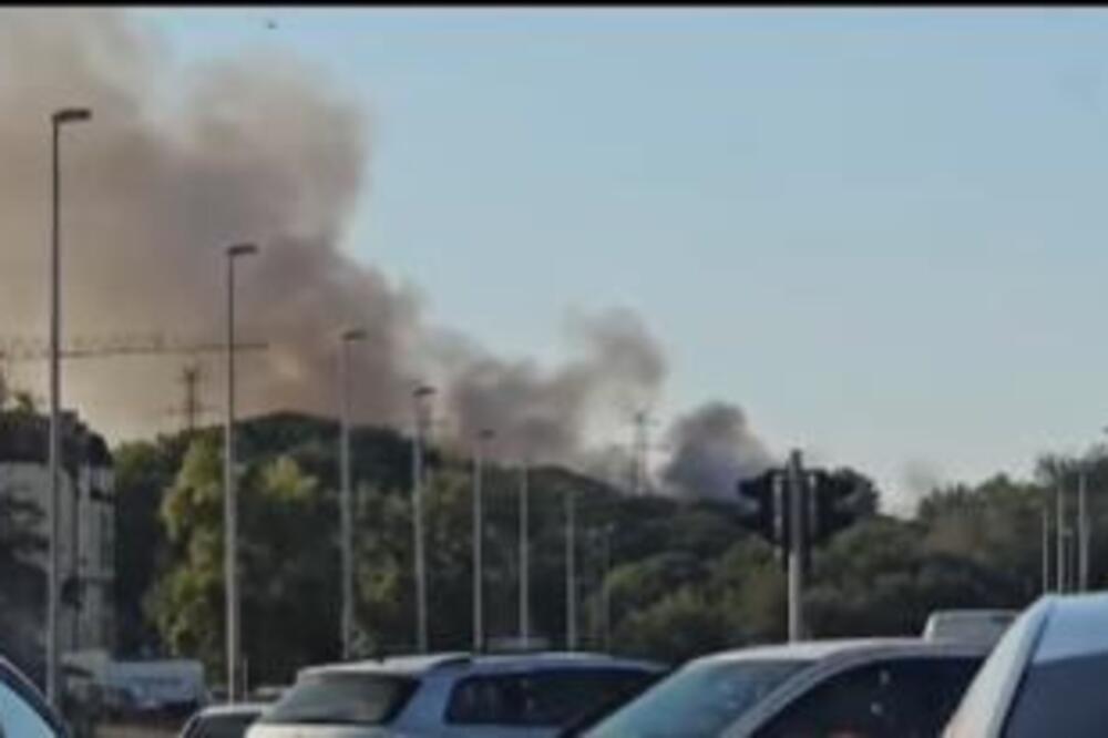 Veliki požar na Bežanijskoj kosi: Gusti crni dim prekrio naselje (VIDEO)