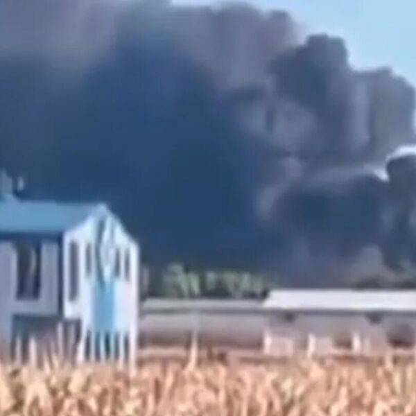 Gori kod Ade: Požar zahvatio celu plantažu i fabriku, nadležni uputili važan APEL! (VIDEO)