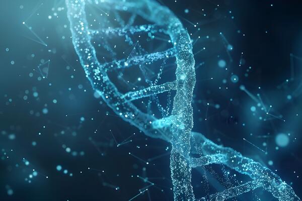 DNK se zapetljava pod stresom, a kako to utiče na kontrolu gena i nastanak bolesti? Od sad ćete 2 puta razmisliti..