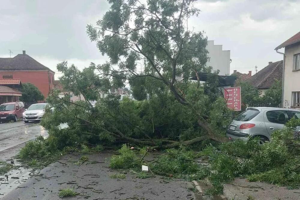 SNAŽNO VREME OPUSTOŠILO ČAČAK: Stabla čupalo iz korena, na sve strane slomljene grane, kiša i vetar ne staju!