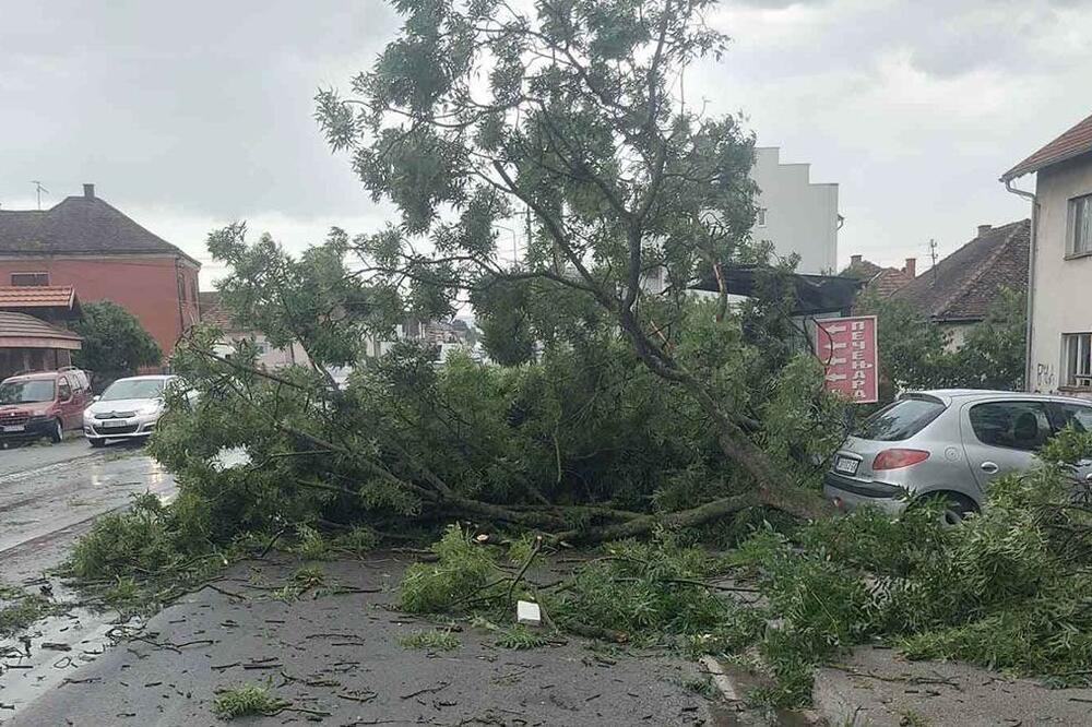 STRAŠNO NEVREME U BARU: Udari vetra bili 90 km na sat, oborena STABLA!