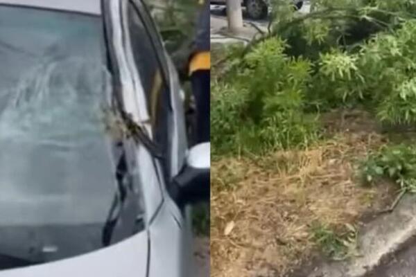 Drveće isčupano iz korena leži po ulici: Ljudi bežali u panici, strašno nevreme haralo Čačkom (VIDEO)