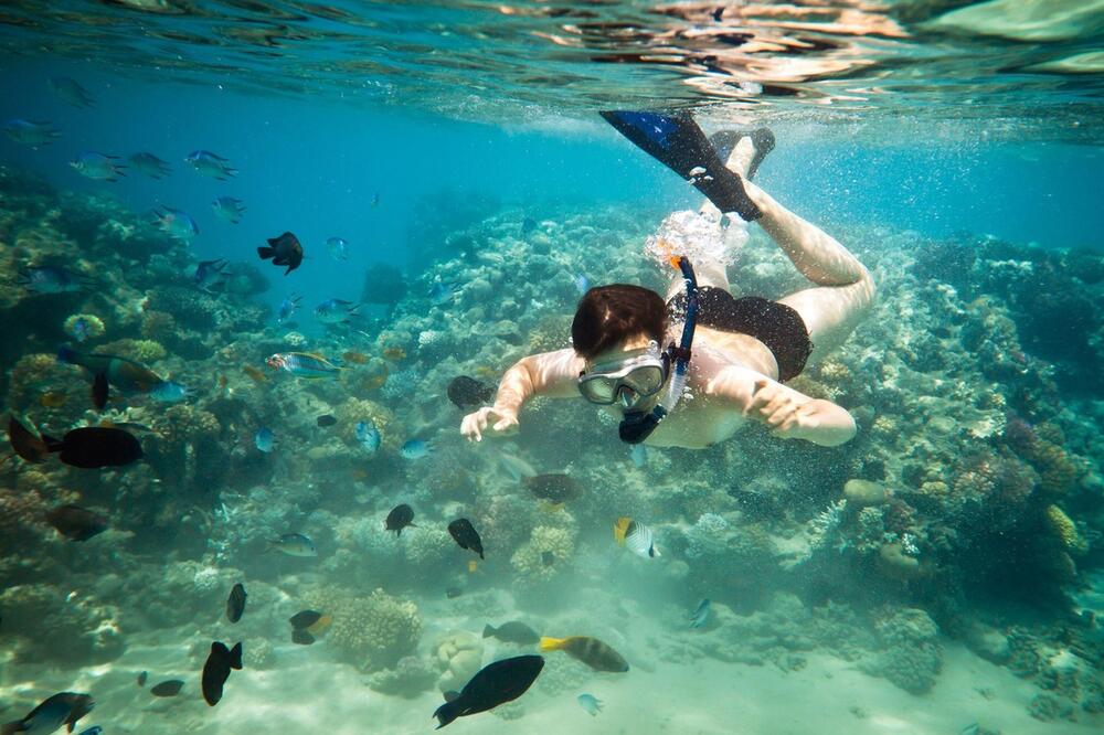 Osmogodišnji dečak ronio sa maskom, a onda je usledio horor! Nezapamćeni užas na popularnoj plaži, i to u plićaku!