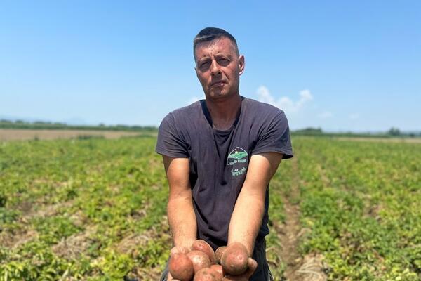 Prodajemo ga za 30 dinara, a marketi na našoj muci zarađuju duplo više: Dejan iz Zablaća uzgaja krompir i očajan je