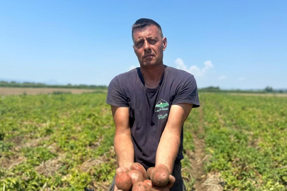 Prodajemo ga za 30 dinara, a marketi na našoj muci zarađuju duplo više: Dejan iz Zablaća uzgaja krompir i očajan je