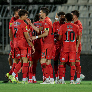 Projektil Vižđija Salija razgalio "Čika Daču" i pokvario "traktor" (Video)