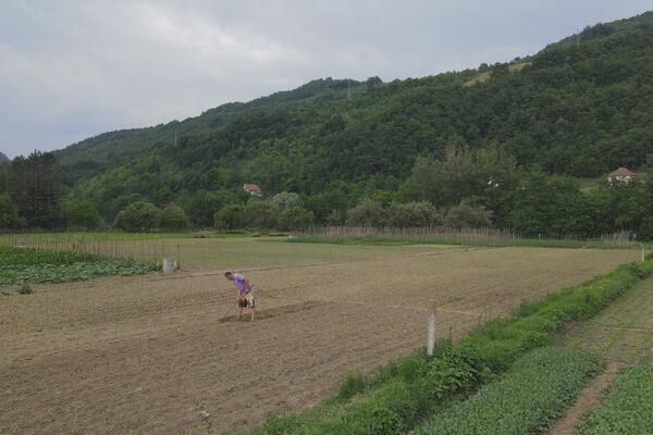 Ako ste poljoprivrednik u Srbiji, stigle su dobvre vesti za vas! Prijavite se i dobićete novac, ukupno 40 miliona