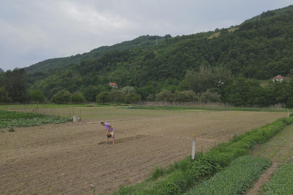 Ako ste poljoprivrednik u Srbiji, stigle su dobvre vesti za vas! Prijavite se i dobićete novac, ukupno 40 miliona