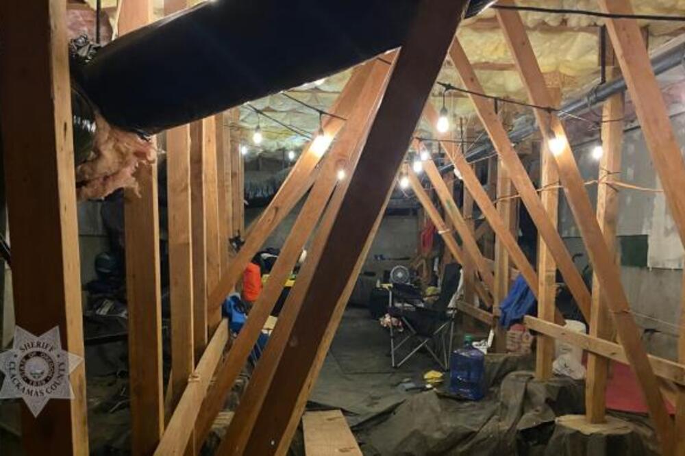 Porodica se uselila u kuću, iz podruma su dopirali vrlo čudni zvuci: Kad su sišli dole, od prizora je ženi pozlilo