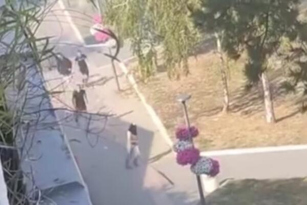 Snimak nasilja iz Bačke Palanke šokirao Srbiju: Maskirani mladići se biju usred dana, bačen i molotovljev koktel!
